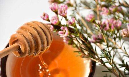 Mierea de Manuka, alimentul care vindecă orice boală