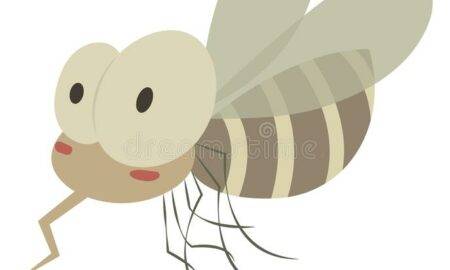 Motivul științific pentru care ești (sau nu ești) un magnet de țânțari