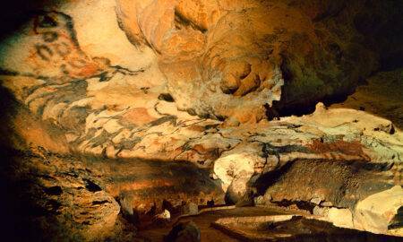 Cum a descoperit un câine picturile peșterii Lascaux