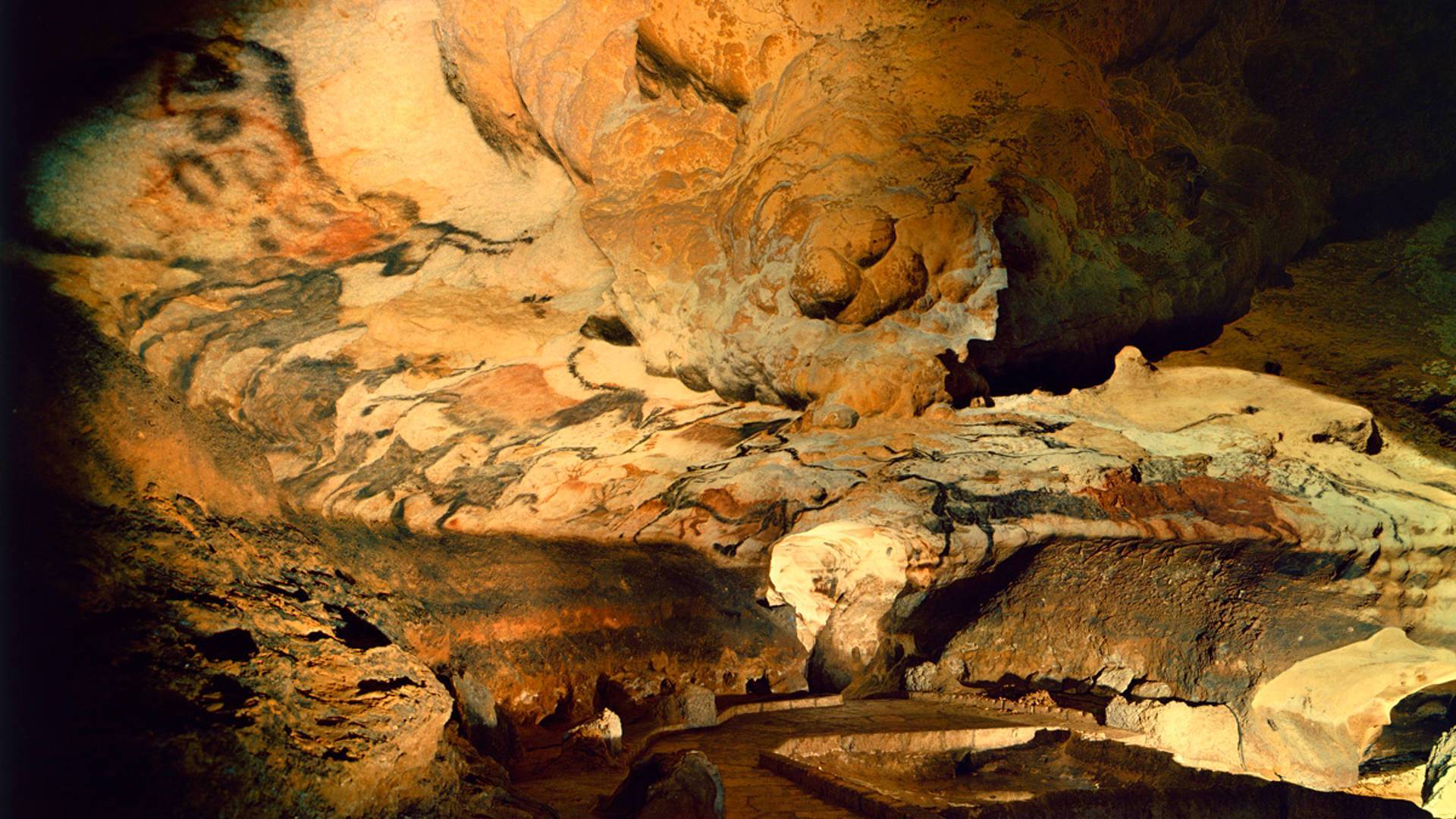 Cum a descoperit un câine picturile peșterii Lascaux