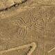 Liniile Nazca, desenele misterioase care pot fi văzute doar din avion