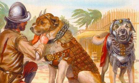 Becerrillo, câinele de război al conchistadorilor spanioli
