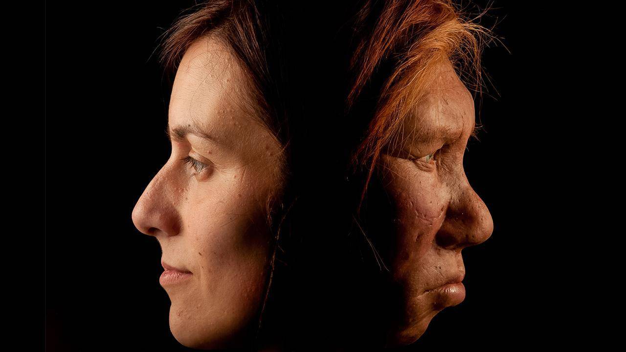 Omul de Neanderthal a interacționat cu omul modern?