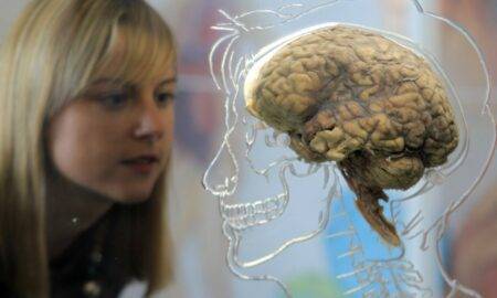 Creierul uman așa cum probabil nu știam că poate fi