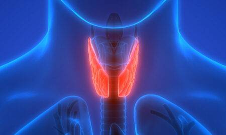 Glanda tiroidă. Care sunt tulburările acestei glande și cum se pot trata