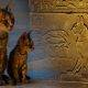 Cum erau văzute pisicile în mitologiile lumii
