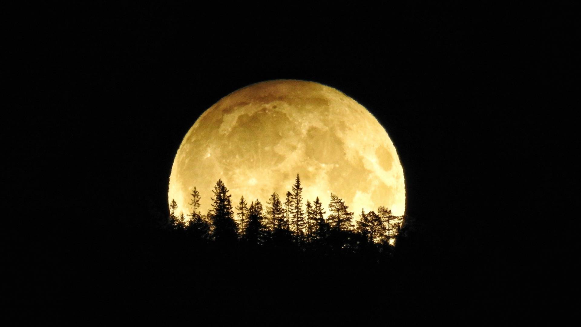 Anul 1110, momentul în care luna a dispărut de pe cer. Anomalia provocată de forțele întunecate sau natură?