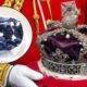 Koh-i-Noor, cel mai mare diamant din lume! Zeci de conducători s-au luptat pentru a intra în posesia lui