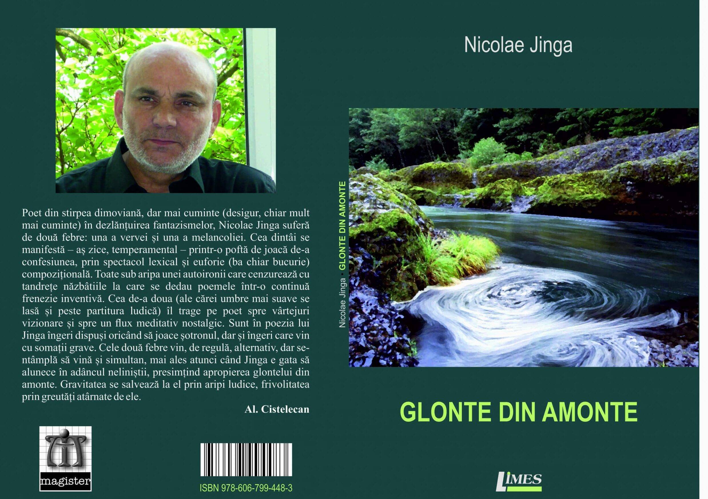 Nicolae Jinga, Glonte din amonte
