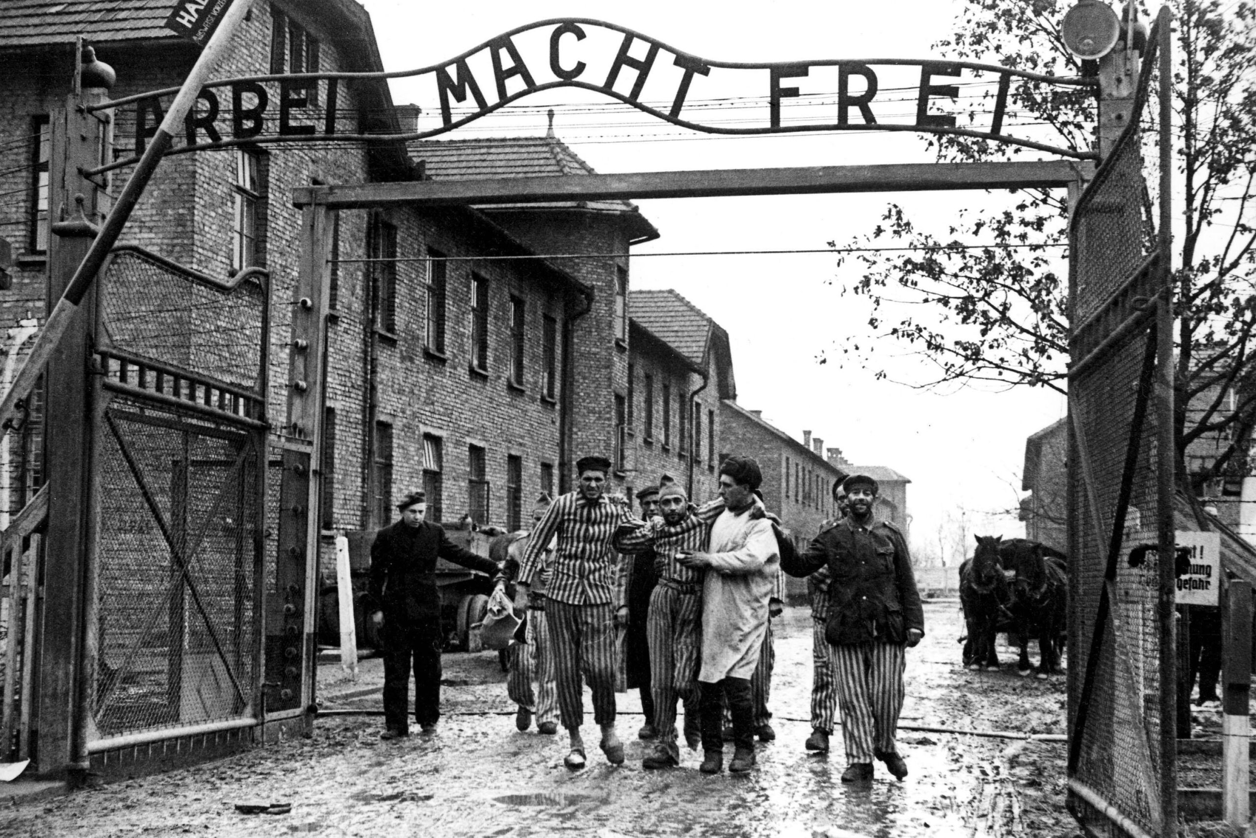 27 Ianuarie 1945, ultima zi de suferință a prizonierilor de la Auschwitz. Sfârșitul Infernului nazist