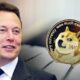 Elon Musk vorbește despre criptomoneda Dogecoin. Investitorii ar trebui să știe neapărat aceste lucruri
