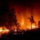 Bulgaria, grav afectată de incendiile forestiere! Au fost raportate primele decese