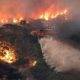 Cuprinsă de incendii aproape imposibil de stins, Sicilia intră în stare de urgență timp de șase luni