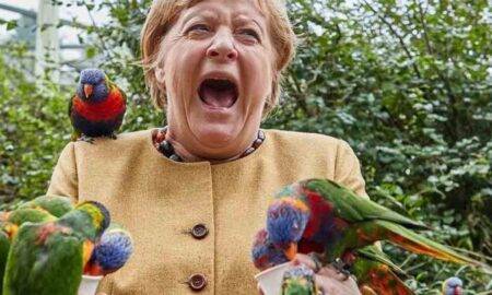 Imaginea zilei vine de la Angela Merkel. Prezent într-un parc, cancelarul german a creat un moment inedit