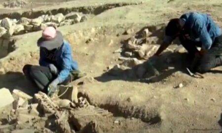 A fost descoperit mormântul unui posibil rege, îngropat cu patru cai
