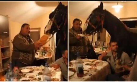 Ce părere au românii despre faptul că bărbatul care a petrecut cu calul în sufragerie a fost amendat de polițiști