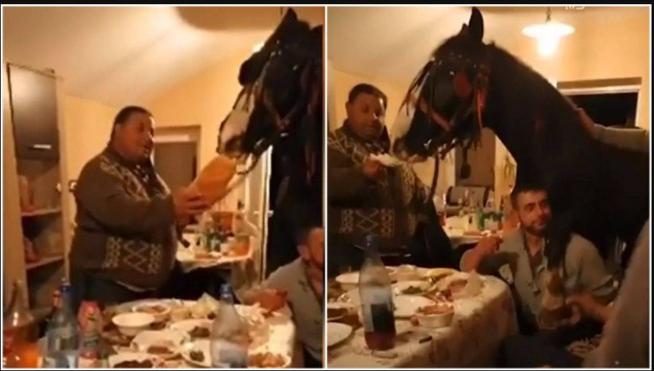Ce părere au românii despre faptul că bărbatul care a petrecut cu calul în sufragerie a fost amendat de polițiști