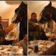 Un român și-a luat calul și a petrecut cu el în sufragerie! Imaginile cu animalul la masă au făcut înconjurul țării