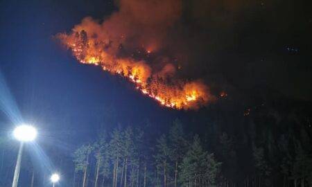 Incendiul de la Oituz a cuprins 28 de hectare. Pădurea arde de cinci zile