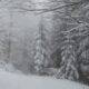 VIDEO. Ninge ca în povești în România. Sunt locuri în care zăpada măsoară zeci de centimetri
