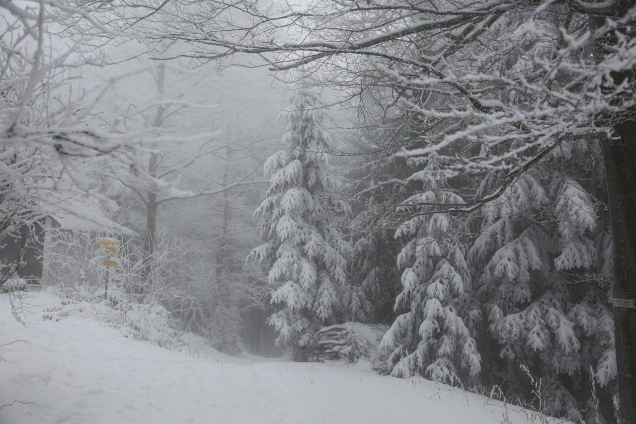Un val de aer rece aduce în România cod galben de viscol și ninsori. ANM anunță zonele care vor fi afectate până sâmbătă