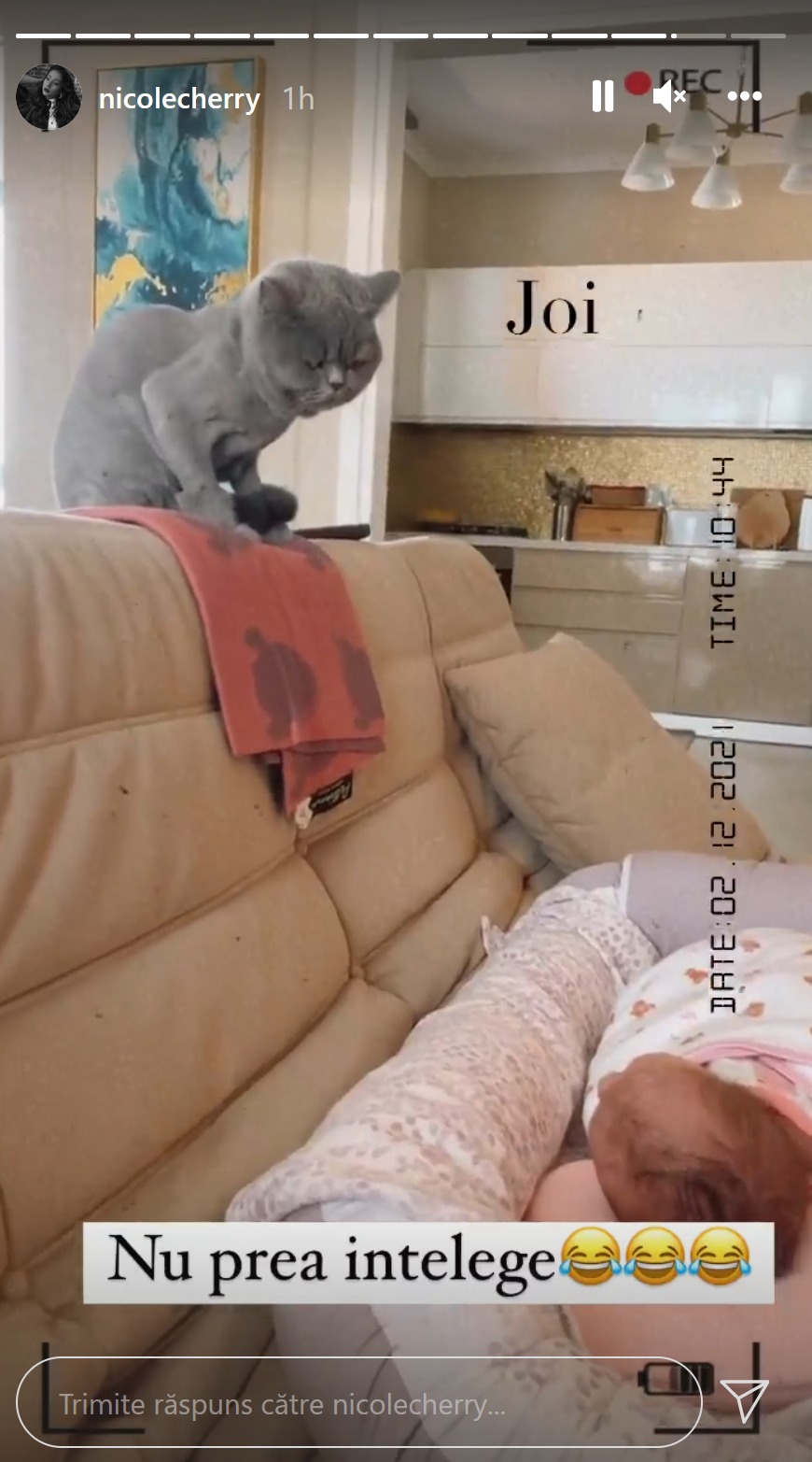 Prima imagine cu Lia, pisica lui Nicole Cherry, și Anastasia. Cum și-a tuns artista pisica pentru binele fiicei ei
