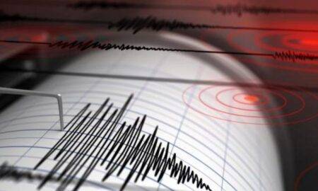 Un nou cutremur a avut loc în Vrancea. Este al doilea în 24 de ore