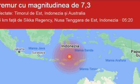 VIDEO. Indonezia, lovită de un cutremur cu magnitudinea de 7,3. A fost emisă alertă de tsunami