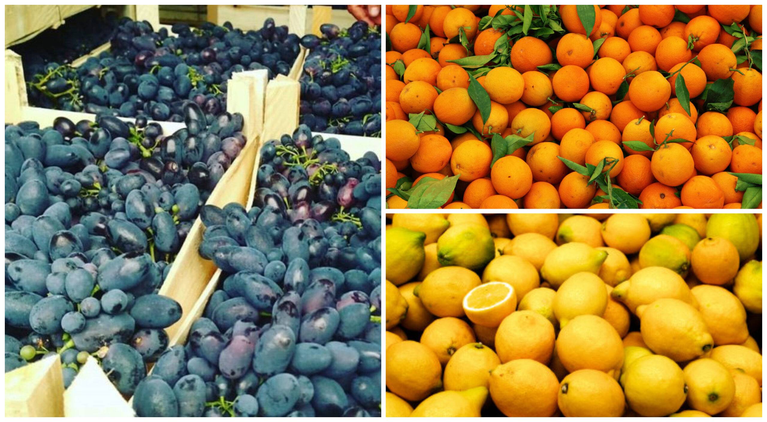 Alertă ANSVSA. Zeci de tone de struguri, lămâi și mandarine pline de pesticide au fost identificate în România