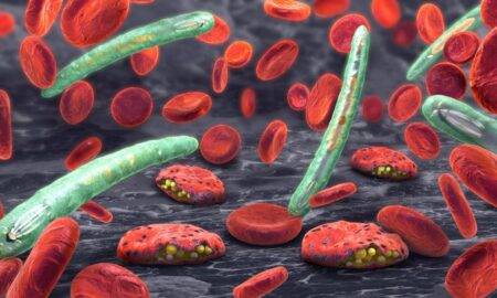 A fost identificat primul caz de malarie în România. Cine este pacientul care a contactat această boală