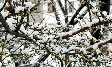 Meteo 9 martie. România nu scapă de ninsori și temperaturi scăzute