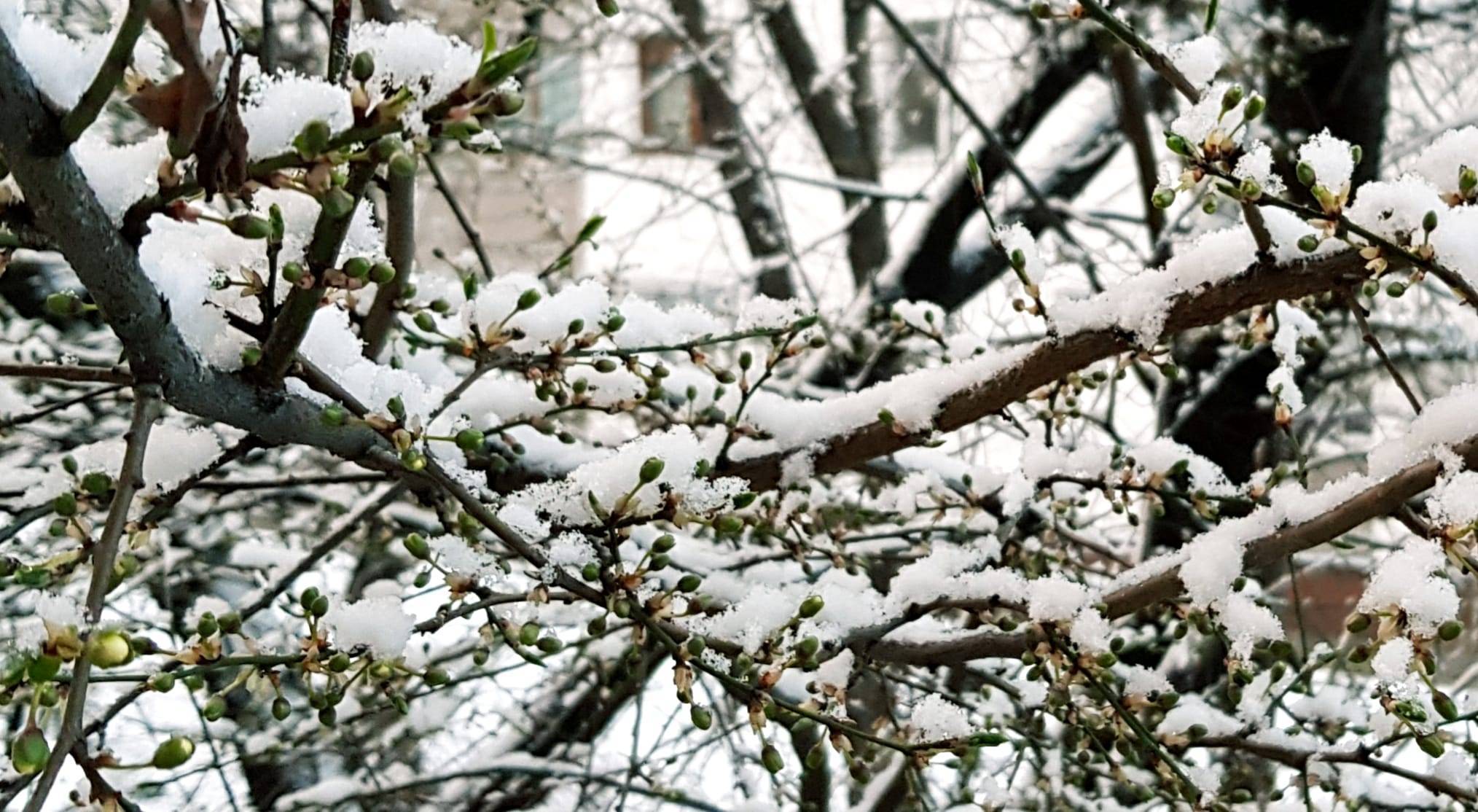 Vremea 22 decembrie. ANM anunță unde va ninge astăzi în România