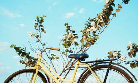 Din cauza condițiilor meteo nefavorabile, proiectul „Cu bicicleta prin cartiere” va fi organizat joi