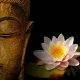 Sutra Lotusului, ultima învățătură a lui Buddha
