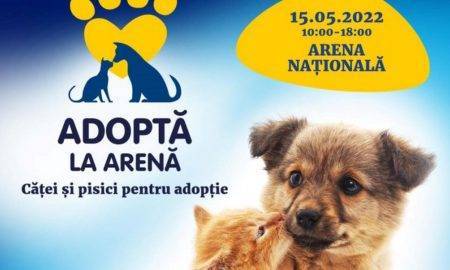 Campania ASPA aduce românilor șansa de a adopta un cățel sau o pisică