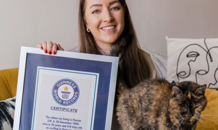 Aceasta este cea mai bătrână pisică din lume. Guinness World Records i-a acordat oficial acest statut