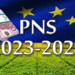 Românii pot obține acum până la 1 milion de euro de la Guvern. Ce categorii de persoane sunt eligibile