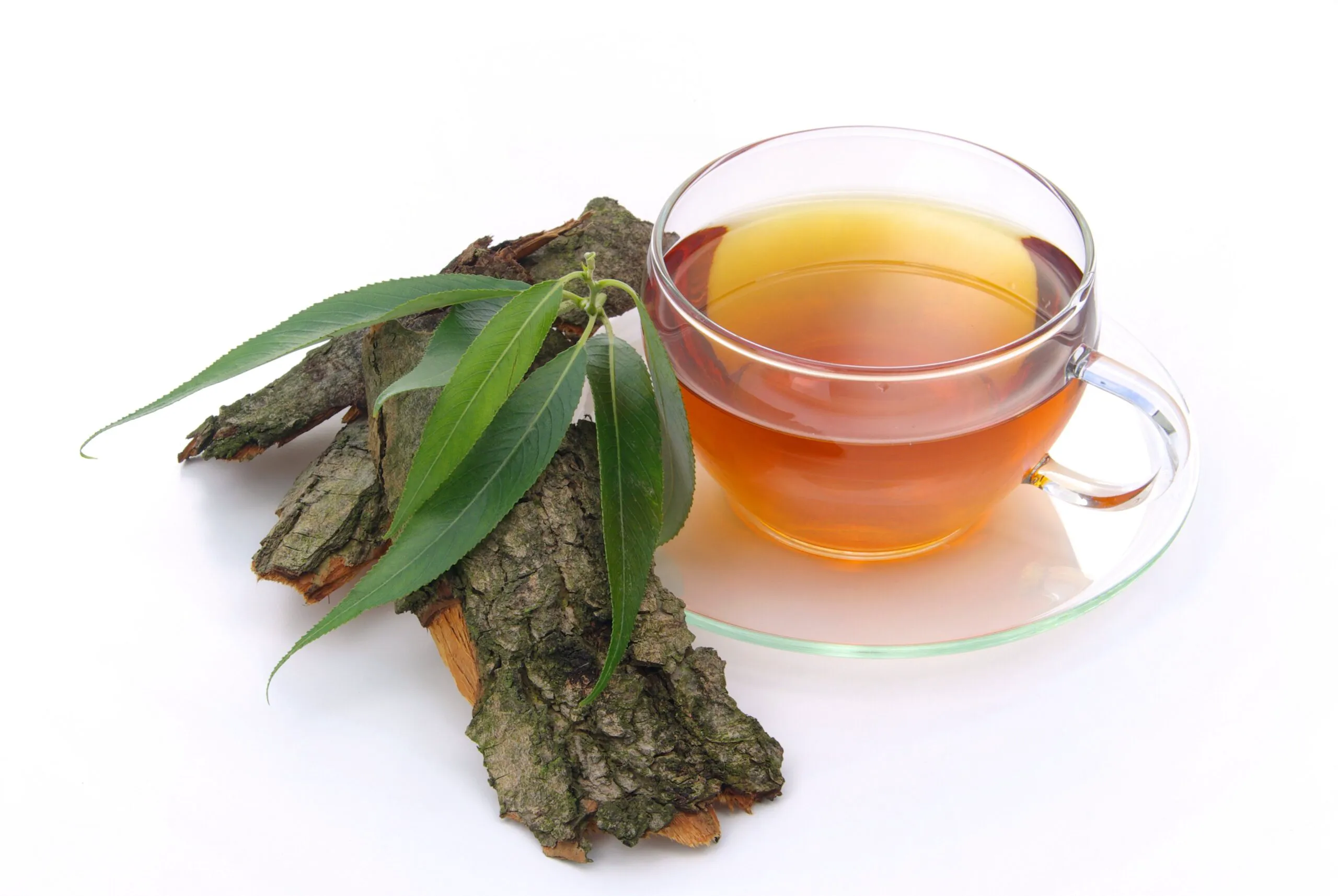 Ceaiul de coajă de salcie este o bautură folosită de mii de ani in medicina traditională