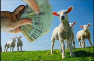 Ce bani vor plăti românii pentru carnea de miel. Se anunță noi prețuri pentru Paștele 2023