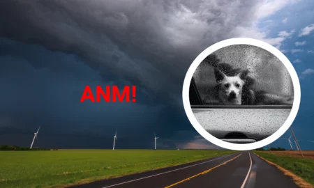 Atenționări meteorologice emise de ANM pentru astăzi 8 aprilie 2023
