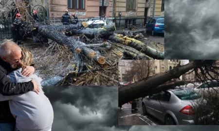 Prăpădul în București continuă să crească. 41 de copaci doborâți de furtuni cu zeci de autovehicule avariate. Atenție la mașini