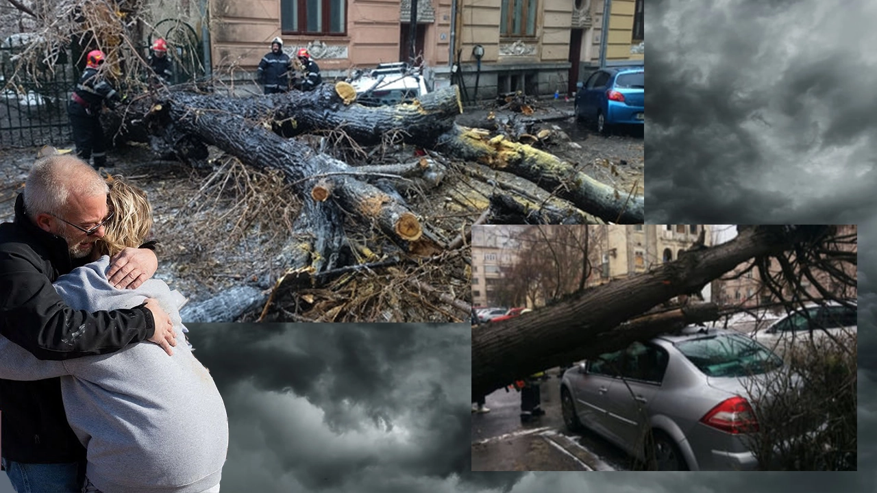 Prăpădul în București continuă să crească. 41 de copaci doborâți de furtuni cu zeci de autovehicule avariate. Atenție la mașini