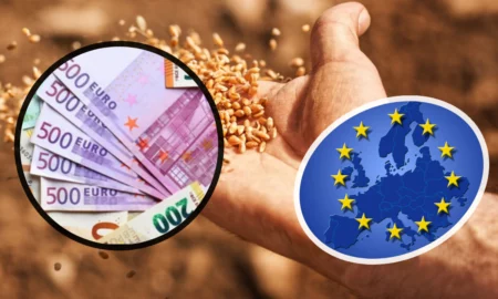 Fermierii primesc banii direct în conturi! Se vor aloca 20 de milioane de euro