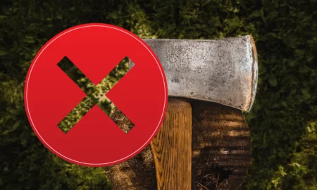 Interzis în toată țara! Legea pentru protejarea pădurilor a fost votată în Parlamentul României
