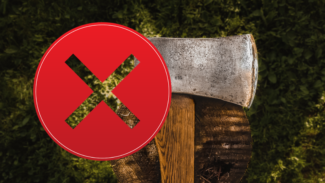Interzis în toată țara! Legea pentru protejarea pădurilor a fost votată în Parlamentul României