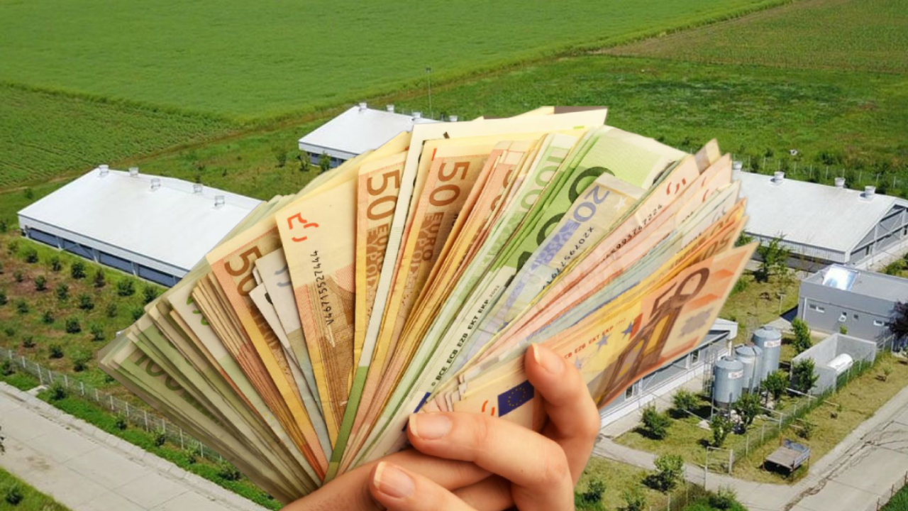 Peste 100 de milioane de euro! Sute de beneficiari au primit ajutorul Ministerului Agriculturii