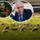 USR a tăbărât pe Daea: Un măscărici, un bufon al agriculturii româneşti, a încurajat mafia din agricultură