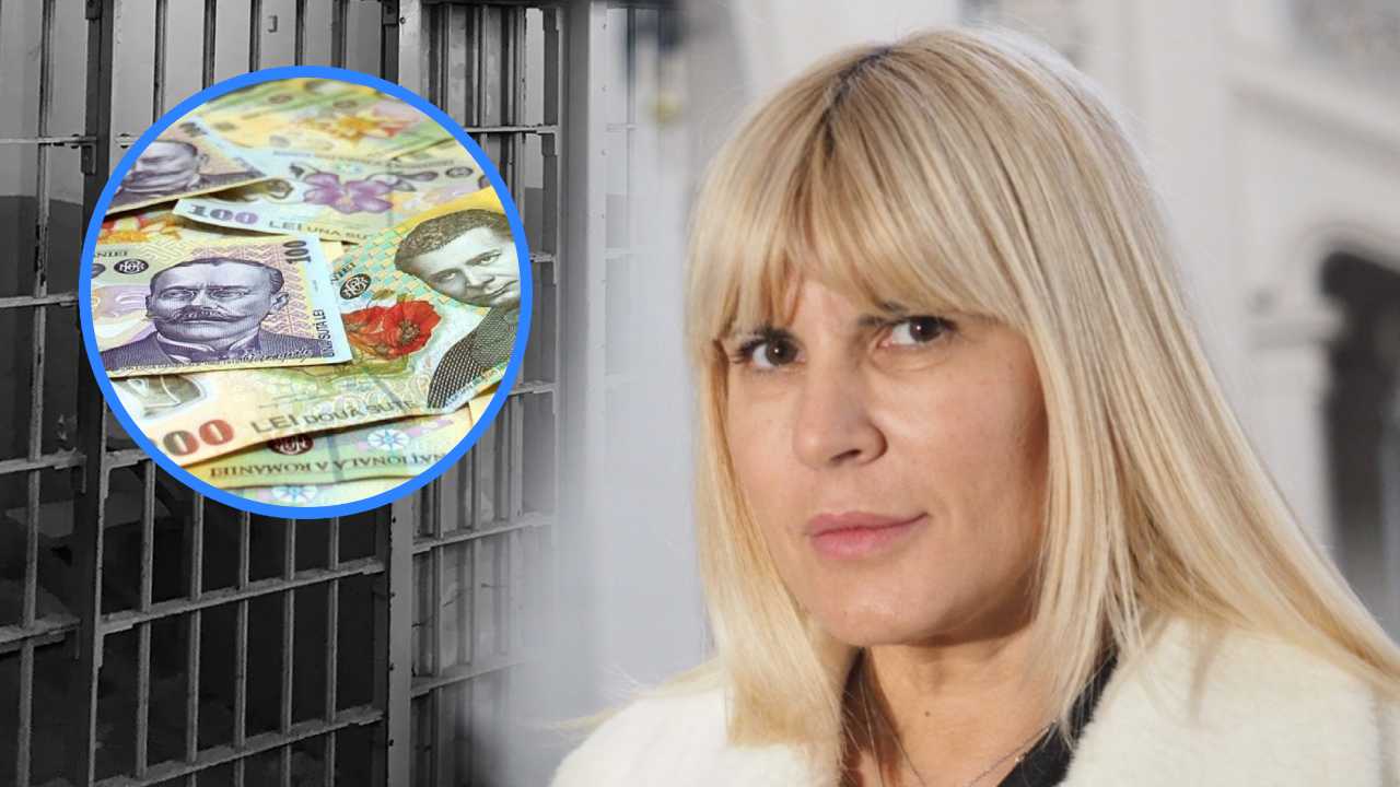 Elena Udrea denunță cheltuielile enorme pentru deținuți și susține măsuri alternative la detenție