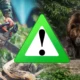 Marea comoară a României în pericol! Se discută combaterea tăierilor ilegale și gestionarea conflictelor om-urs