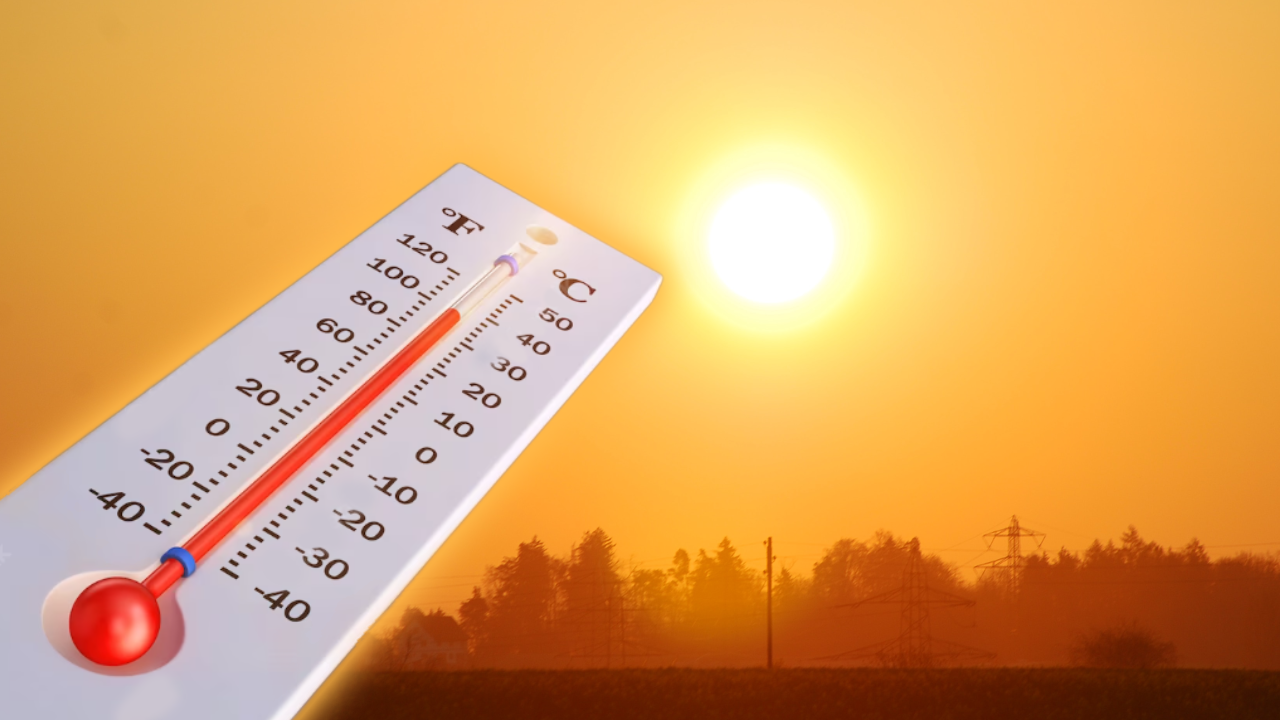 Val de căldură extremă loveşte România. Cum va fi vremea vara aceasta, avertismentul meteorologilor